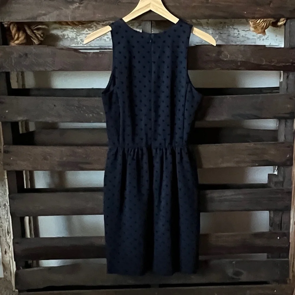 J. Crew back zip